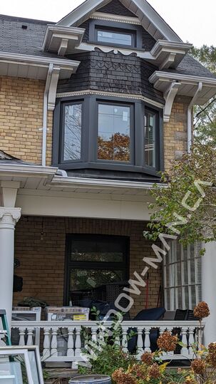 vinyl black windows - living room